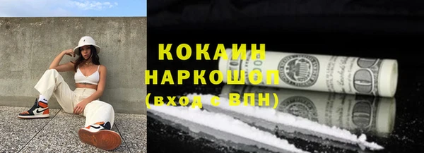 стаф Магас