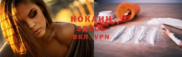 крисы Губаха