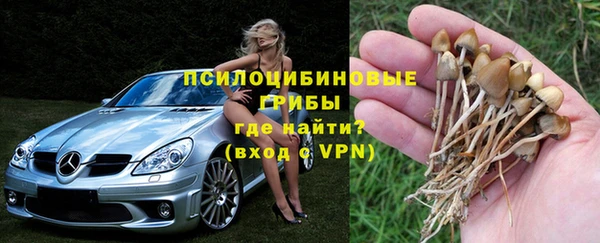 стаф Магас
