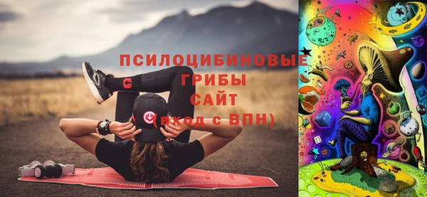 ALPHA PVP Медвежьегорск