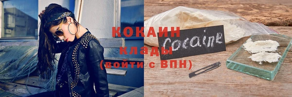 стаф Магас