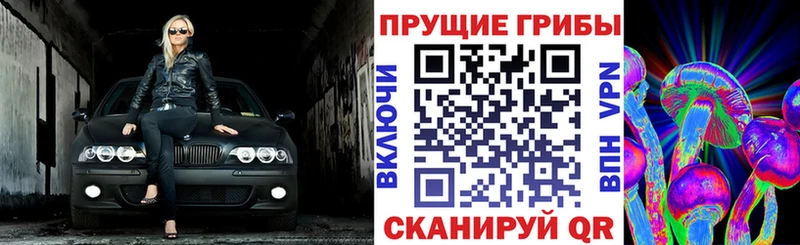 Псилоцибиновые грибы мухоморы  Калтан 